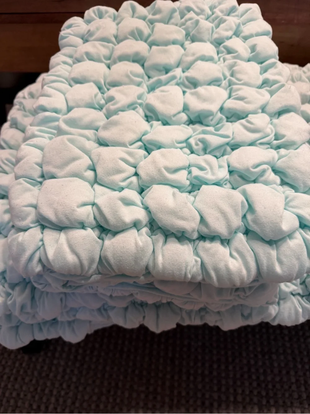 Pottery Barn Teen plush ruffled
